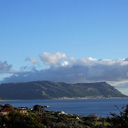 Restio Garden Studio Simon's Town Luaran gambar