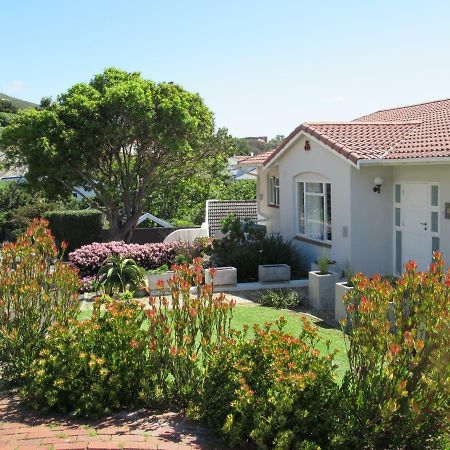 Restio Garden Studio Simon's Town Luaran gambar