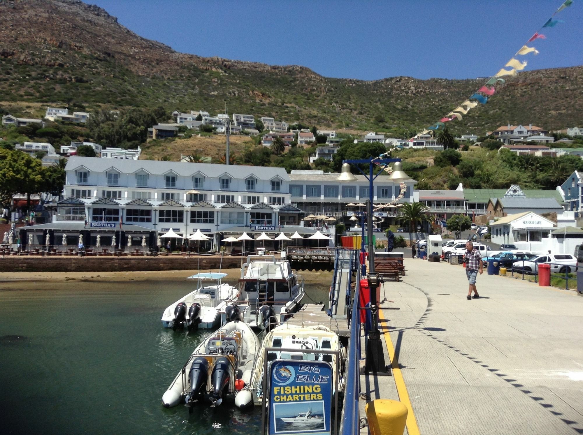 Restio Garden Studio Simon's Town Luaran gambar