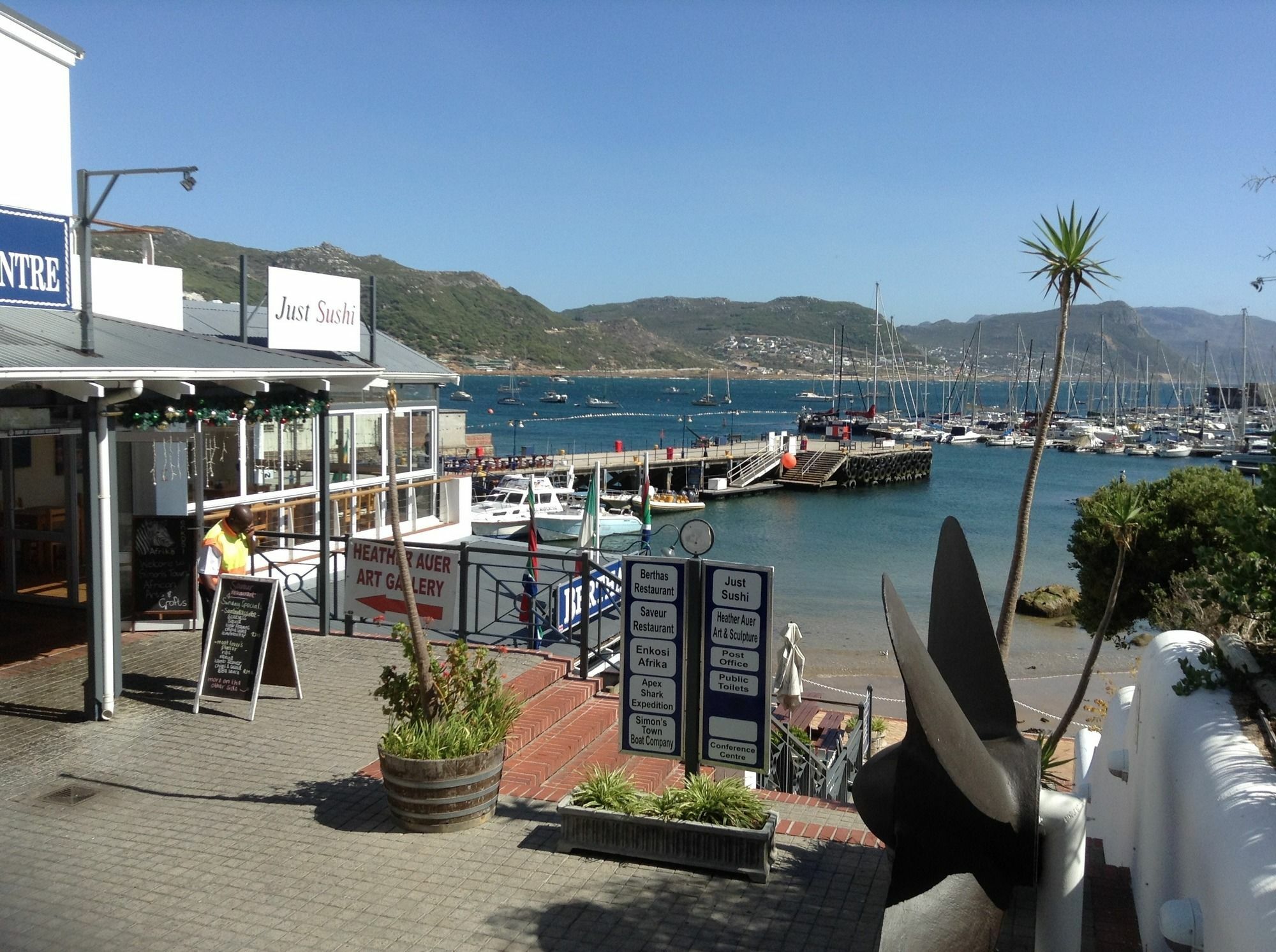 Restio Garden Studio Simon's Town Luaran gambar