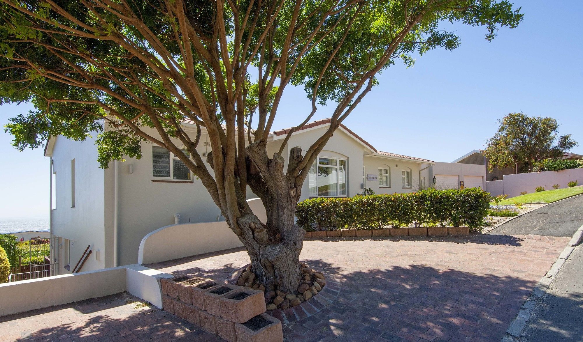 Restio Garden Studio Simon's Town Luaran gambar